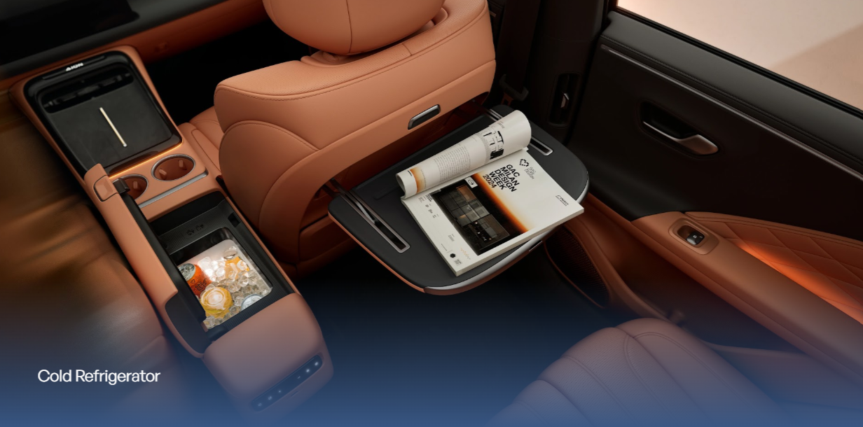 AION V — Interior 1